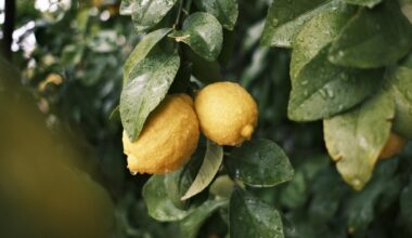 PSQR, iTrazo and Facteon become partners