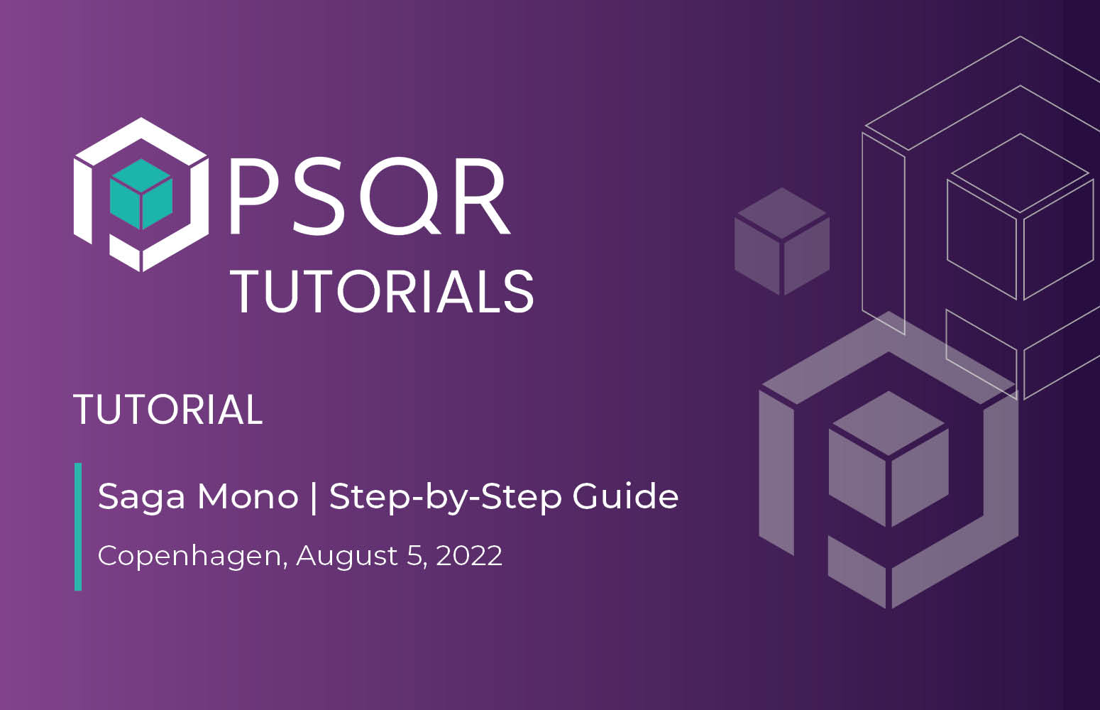 Saga Mono Tutorial - Step-by-step Guide
