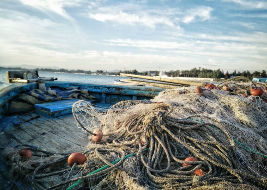 Seafood traceability software as a key enabler of sustainable seafood