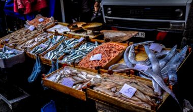 Certified Sustainable Seafood - 15 Standards You Should Know About