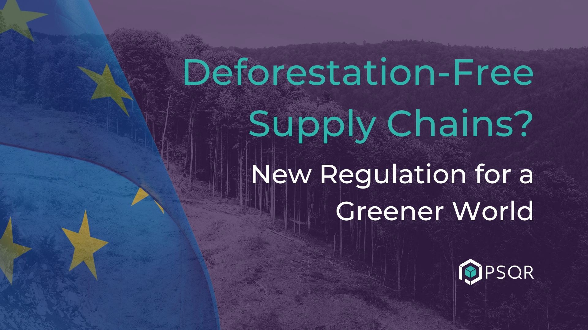 EU Deforestation Regulation Article Feature Image