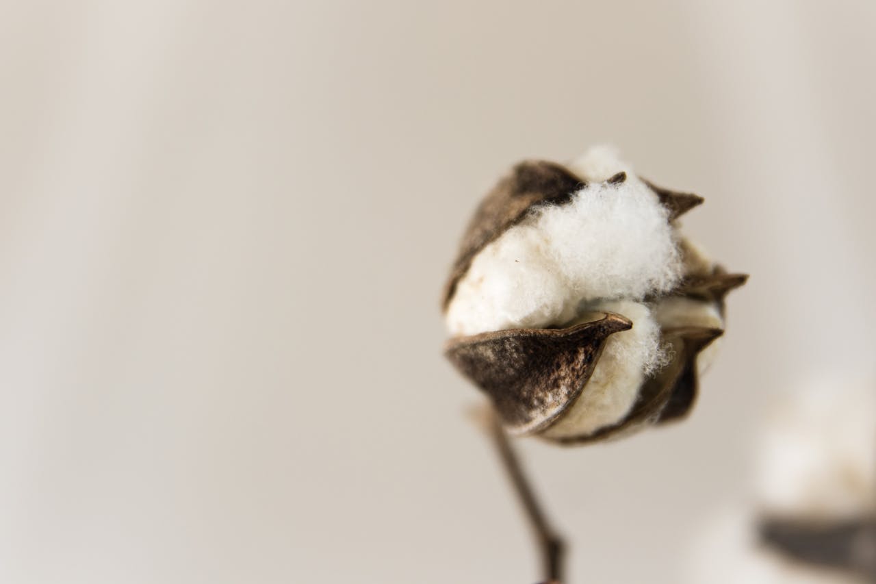 Traceability and Transparency in the Fashion Industry