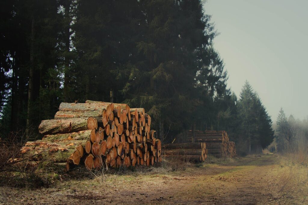 EU Deforestation Regulation Article Feature Image