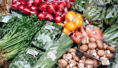 How does supply chain traceability improve food and beverage quality