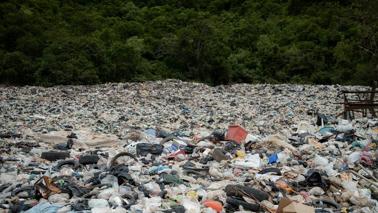 Packaging and Packaging Waste Regulation (PPWR) 2026