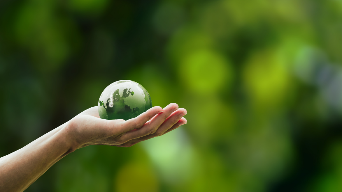 Carbon footprint